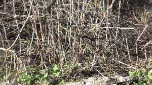 ПЛАН 💥  РАБОТА 💥  ОГОРОД  💥  ПОДПИШИСЬ