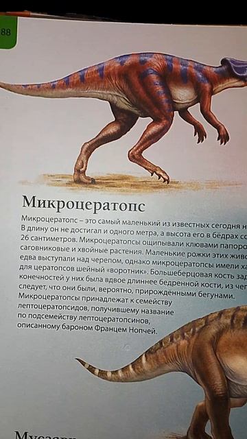 Оса или динозавр? 🐝 Разбор недочёта в БДЭД.