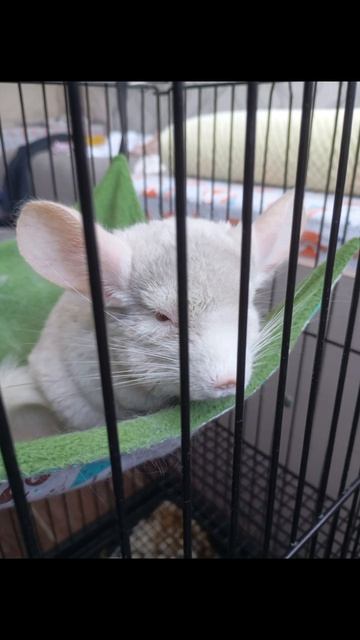 НУ И ТЕПЕРЬ КЛИП БУСЕНЬКИ!!