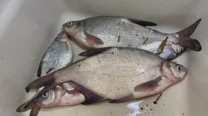 Мормышинг. Первый улов.