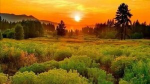 Коран сура  Сабаъ чтец Мухаммад аль-Факих