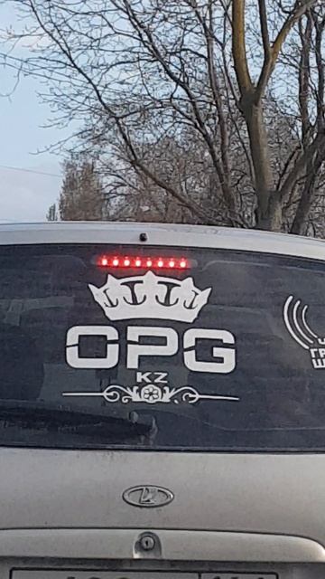 OPG