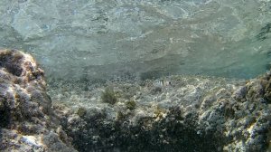 Тихая бухточка в бурном море