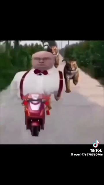 Шаг за шагом