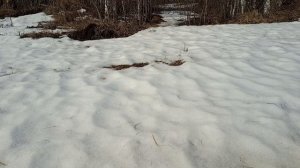 Светины приключения