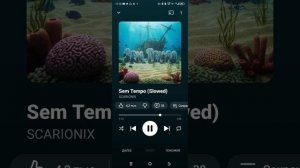 вирусный фонг!!!!!!!!