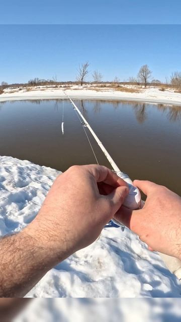 Белоснежный стиль на открытой воде ❄️🎣