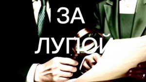 Человек собаке друг? В Кировском районе ЛО человек «охотится» на домашних собак.