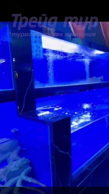 «Марриотт Интернэшнл»/«Marriott International Hotel»/Ван Хао (万豪国际酒店)