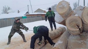 Заготовка дров 2026