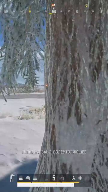 Снайпнул в полете