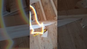 1000054959.mp4 (Собака наблюдает за устройством лестницы на 2-ой этаж в доме А-фрейм)