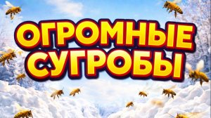 Огромные сугробы! Лесная пасека