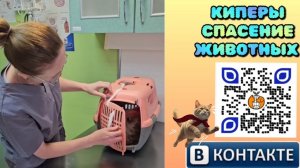 Брутальному Ярику тоже нужна помощь людей