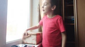 Дима и мадводь 1 серия 1 сезон первая встреча