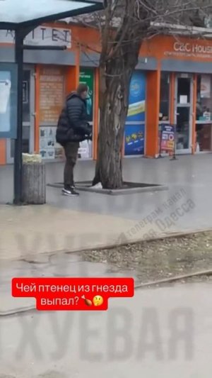 Видео от Департамент Вирусного Контента | ДВК