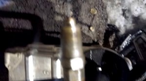 VID_20260313_031817