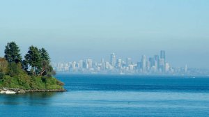 Более 20 мертвых покалеченных собак выбросило на берег острова в Вашингтоне