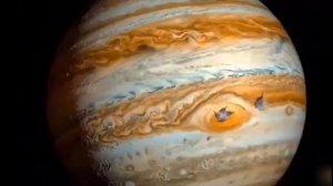 тюленьки захватили весь мир