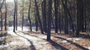 5 апреля - Никонов день. Вербное воскресенье