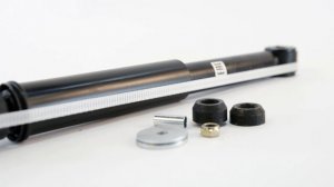 Амортизатор задней подвески LADA XRAY AG01516 Trialli Код: 28100