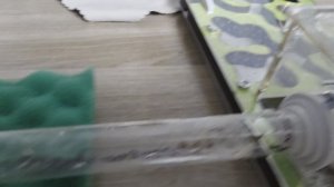 Жизнь муравьёв. 5 серия.