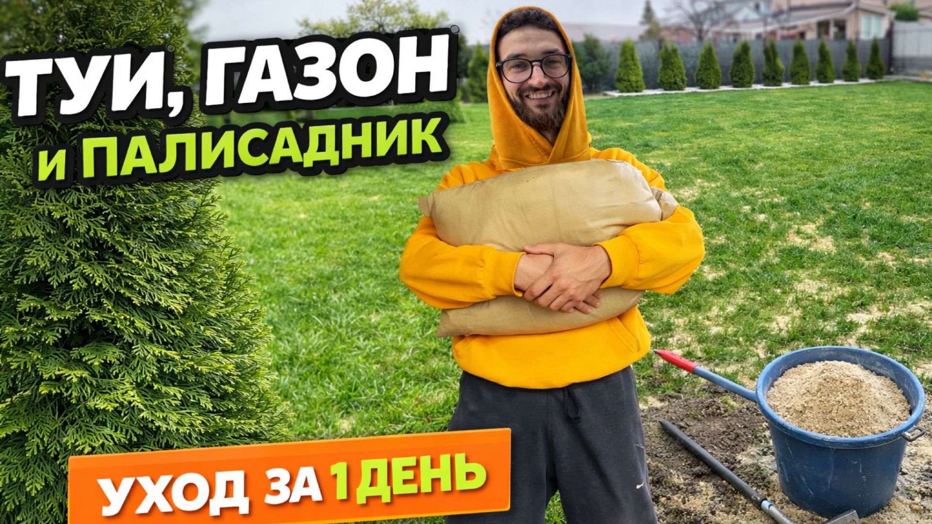 Туи, Газон и Палисадник уход за выходные #туи #газон #уходзатуями #садсвоимируками