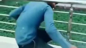 чиновники задумались о Minecraft