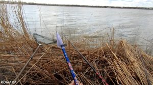 ПЕРВЫЙ ВЕСЕННИЙ КАРАСЬ НА ПОПЛАВОЧНУЮ УДОЧКУ. РАЗЛОВИЛ НОВУЮ СНАСТЬ. БЕШЕНЫЙ КЛЁВ.