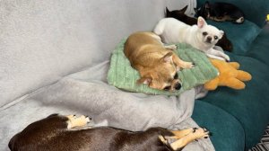 Доброго всем вечера и самой спокойной ночи.