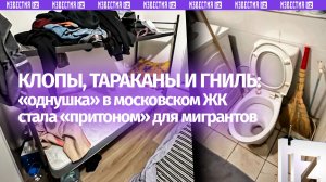 Клопы, тараканы и плесень: из «однушки» в кунцевской новостройке сделали «притон»