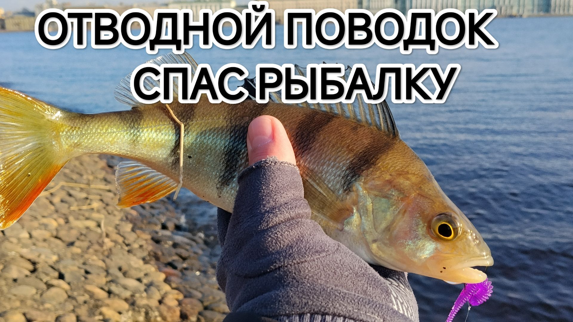 ОТВОДНОЙ ПОВОДОК СПАС РЫБАЛКУ🔥🔥🔥 #спиннинг