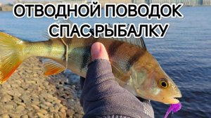 ОТВОДНОЙ ПОВОДОК СПАС РЫБАЛКУ🔥🔥🔥 #спиннинг