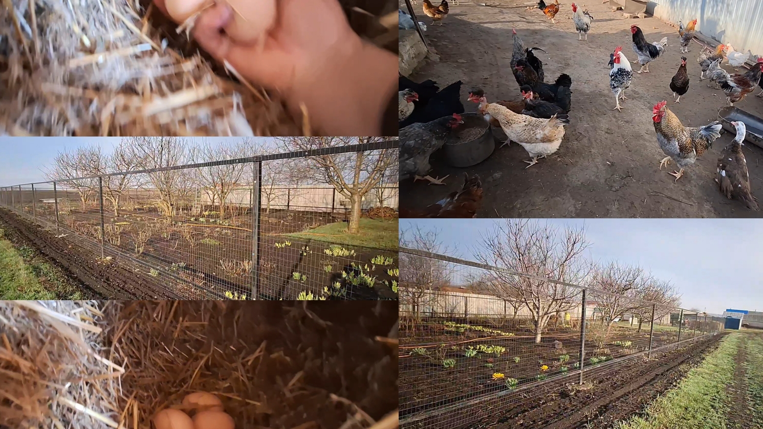 04-04-2026 Жизнь в Деревне