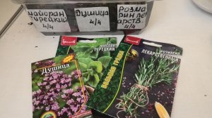 27 03-4 04 26г дача,душица,розмарин,майоран