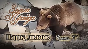 Зоопарк #Земля_Прайда. Парк Львов. Часть «8»