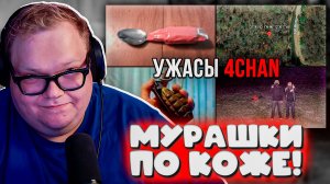 T2x2 В ШОКЕ! Реакция на УЖАСЫ 4CHAN от netcore 😱