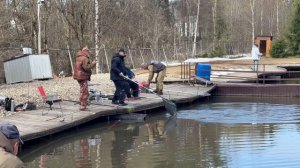 Поимка Форели