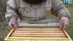 Результаты постановки первого магазина.