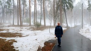 Туман весеннего коктейля 
Мир погрузил для нас в апреле...