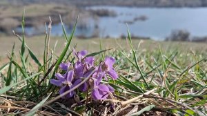 Маленькое #путешествие: в поисках весеннего настроения #веснапришла #природавокруг #природаРоссии