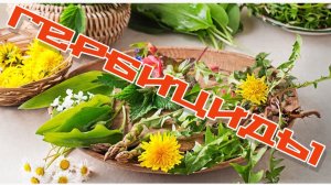 ГЕРБИЦИДЫ 🌱🌿Какие лучше ?