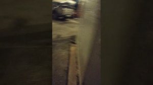 Мы идём гулять с собакой! | 4-апр-2026