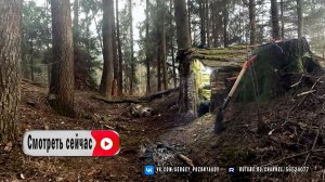 Как построить уютное убежище из коры, мха и земли? Мои Лайфхаки