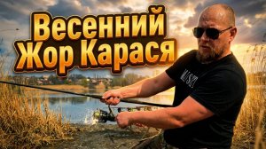 КАРАСЬ С УМА СОШЁЛ! 🤯 Бешеный клёв на Мёртвом Донце в Ростове-на-Дону