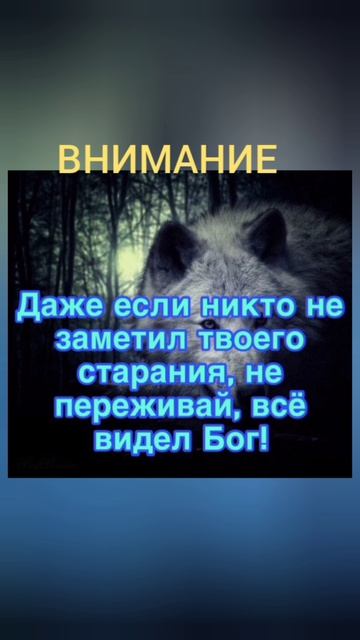 Бог всё знает | ИгорьКОСТРОВОЙ