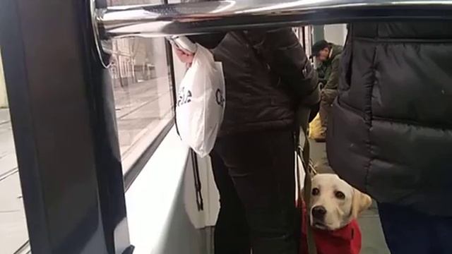 Поездка на Трамвае 50 Из Депо Большой Матросский ПереулокМетро Новослободская Москва 04.02.2022