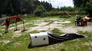 Визит к кинологам