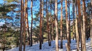 Выбери свою реальность. Не ошибись...