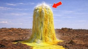 75 Невероятных моментов из жизни природы попавших на камеру.